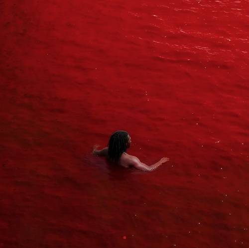 Elvinthedon - I Feel Like