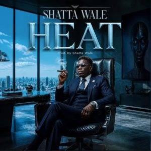 Shatta Wale - Heat
