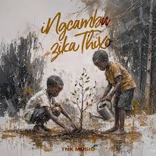 TNK MusiQ – H12 Ft ZANI & DJ Raybel