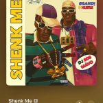 DJ 808 & Mavo – Shenk Me